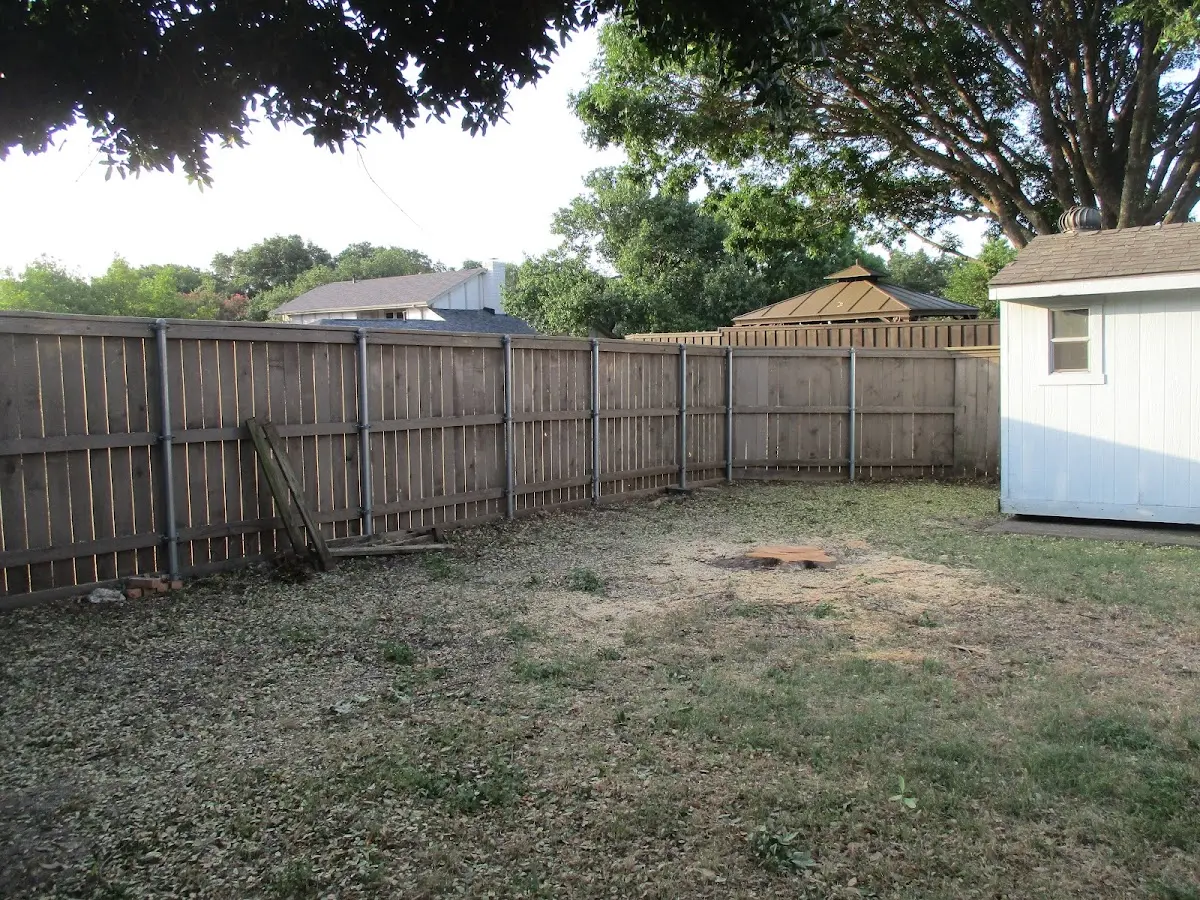 Cleared yard after professional tree removal in Parkersburg
